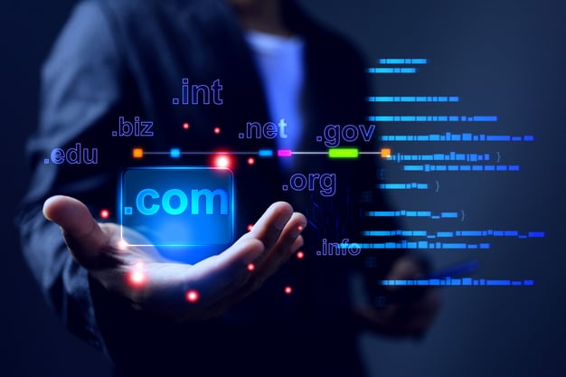 domain names and fraud